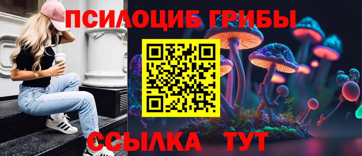 Галлюциногенные грибы Psilocybe Рузаевка